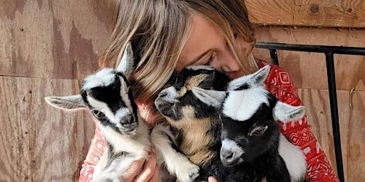 Hauptbild für Baby Goat Social