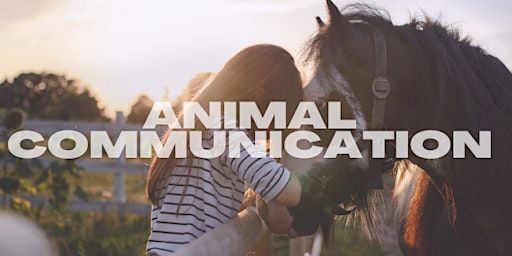 Hauptbild für Animal Communication