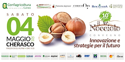 IL NOCCIOLO Innovazione e strategie per il futuro