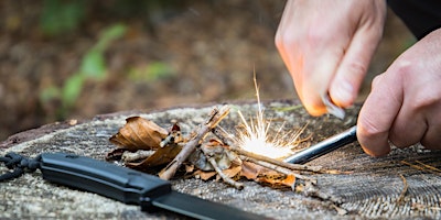 Primaire afbeelding van Bushcraft: the basics