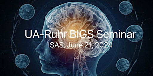 Imagen principal de 4th UA-Ruhr Biomedical Image Analysis Graduate Seminar (BIGS)