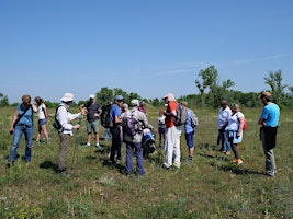 Immagine principale di Initiation à la botanique sur le camp militaire de la Valbonne 