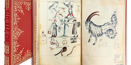 Imagem principal de El gabinete de las maravillas. Códices ilustres (s. VIII – XVI)