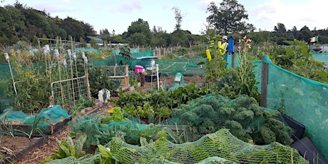 FREE Gardening for Biodiversity & Climate Action Workshop in Kilkenny primary image