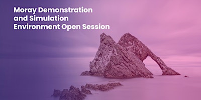 Imagen principal de Moray Demonstration and Simulation Environment Open Session