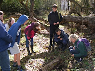 Teen Rangers - Windsor Great Park, Saturday 11 May