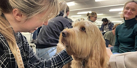 Therapy Dogs @ London Met Library (Holloway)