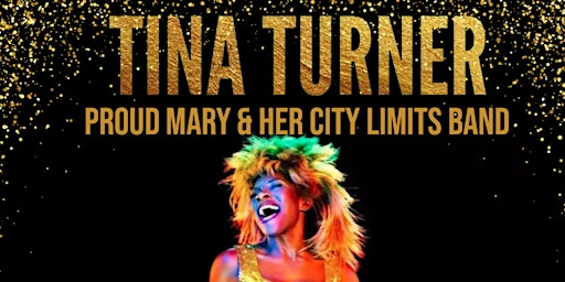 Immagine principale di Tina Turner Tribute 