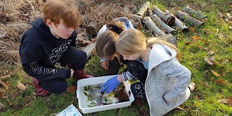 Young Rangers - Windsor Great Park, Saturday 13 July