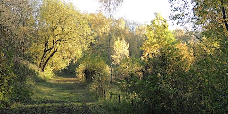 Members Only - Guided Walk around Snitterfield Bushes Nature Reserve