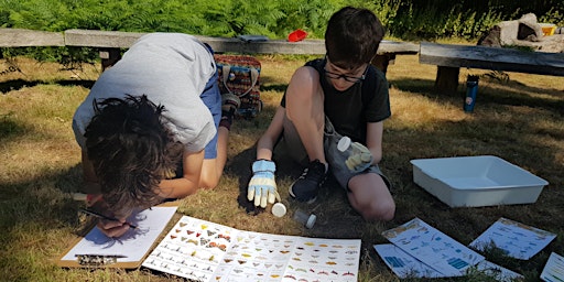 Primaire afbeelding van Wild Discovery Day Camp - Windsor Great Park, Thursday 22 August