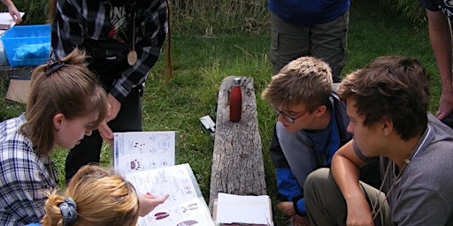 Working in wildlife conservation: work experience with your local wildlife trust at Sutton Courtenay, Tuesday 30 July - Thursday 1 August primary image