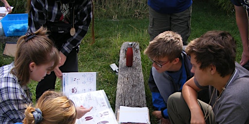 Hauptbild für Working in wildlife conservation: work experience with your local wildlife trust at Sutton Courtenay, Tuesday 30 July - Thursday 1 August