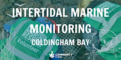 Imagem principal do evento Intertidal Marine Monitoring - Coldingham Bay