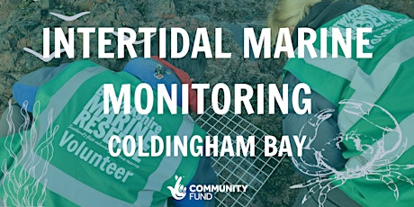 Intertidal Marine Monitoring - Coldingham Bay