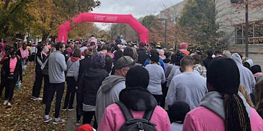 Imagem principal do evento Making Strides Against Breast Cancer Ann Arbor Walk