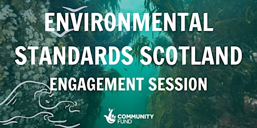 Primaire afbeelding van Environmental Standards Scotland Engagement Session