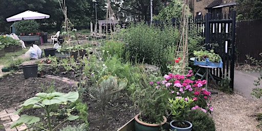 Image principale de Hogsmill Community Garden Wormery and Composting Workshop