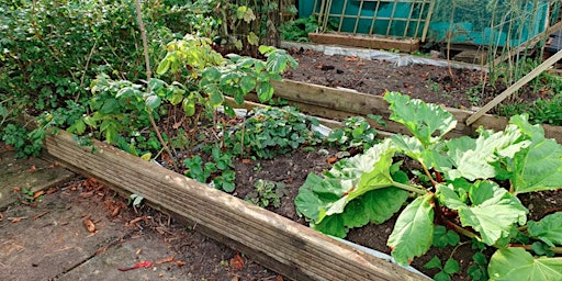 Canbury Community Garden Composting Workshop  primärbild