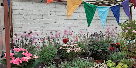 Kingston Environment Centre Wormery and Composting Workshop