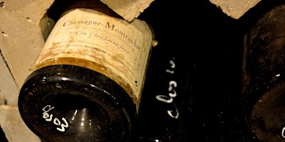 Image principale de The World of Pinot Noir
