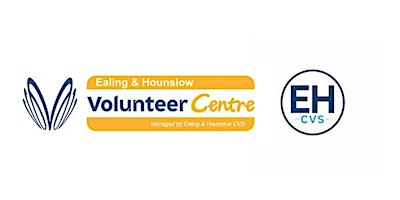 VCSE+Volunteering+Support+Session