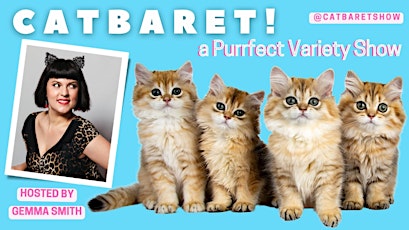 Catbaret! primary image