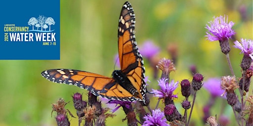 Managing for Biodiversity in Landscapes primary image