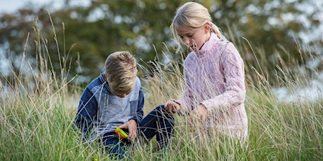 Nature Explorers Day Camp - College Lake, Thursday 22 August