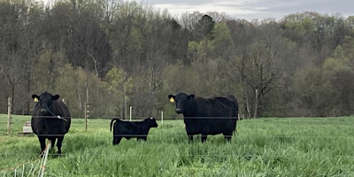Primaire afbeelding van Northeast NC Livestock Field Day