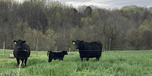 Imagem principal do evento Northeast NC Livestock Field Day