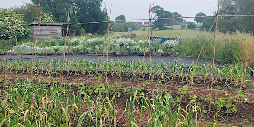 Hauptbild für BIG GREEN WEEK: Community Market Garden and Off-Grid Water Systems Tour