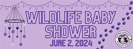 Imagen principal de Wildlife Baby Shower