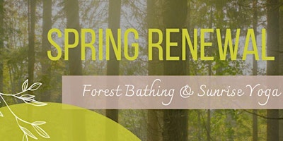 Primaire afbeelding van Spring Renewal: Forest Bathing & Sunrise Yoga