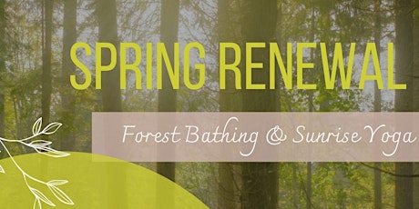 Spring Renewal: Forest Bathing & Sunrise Yoga