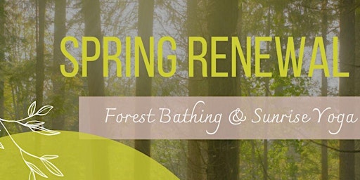 Primaire afbeelding van Spring Renewal: Forest Bathing & Sunrise Yoga