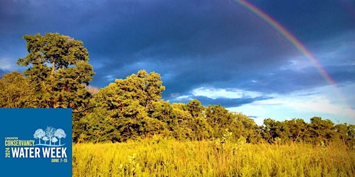 Clean Water Meadows