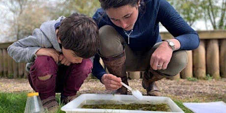 Wild families: Pond dipping (pm) (ELC 2511)