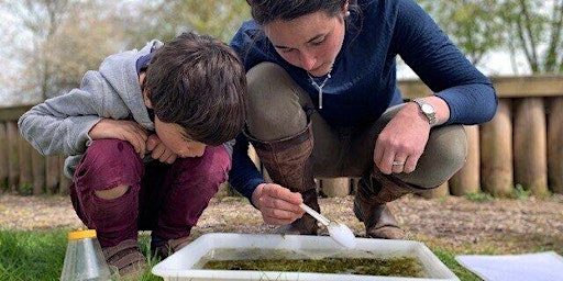 Wild families: Pond dipping (pm) (ELC 2511) primary image