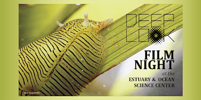 Hauptbild für KQED Deep Look Film Night at the Estuary & Ocean Science Center
