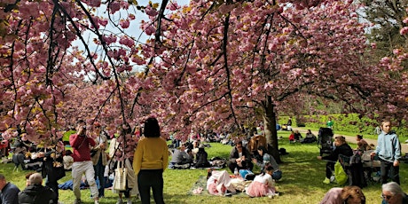 WeRoad célèbre les cerisiers en fleurs ! #Hanami au Parc de Sceaux