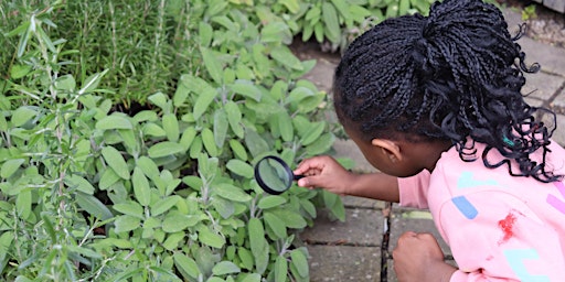 Imagem principal de A Field Guide to Spring: Family Workshop with Gabby Dawnay