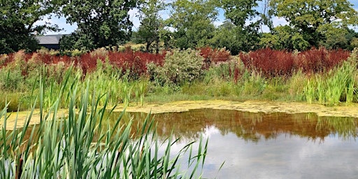 Biosphere Festival day at Branstone primary image