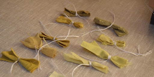 Immagine principale di A Morning of Natural Dyeing & Embroidery 