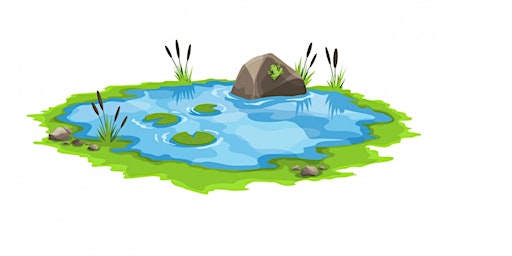 Pond Dipping 1 primary image