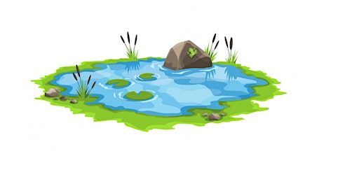 Imagem principal do evento Pond Dipping 2