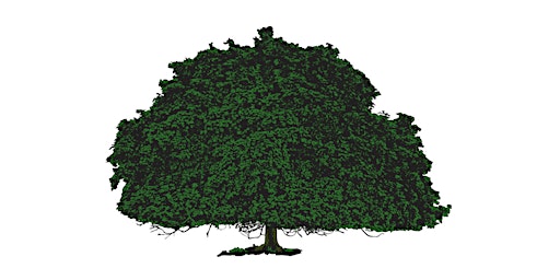 Imagem principal de Tree Survey