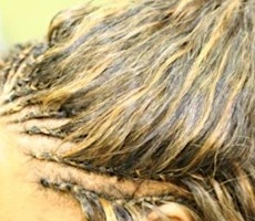 Primaire afbeelding van Tree Braids Training (Beginner Friendly)