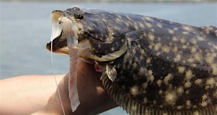 North Olympic Flounder Pounder