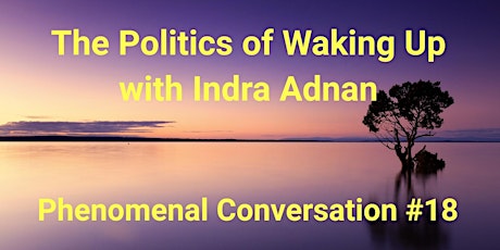 Phenomenal Conversation #18 The Politics of Waking Up